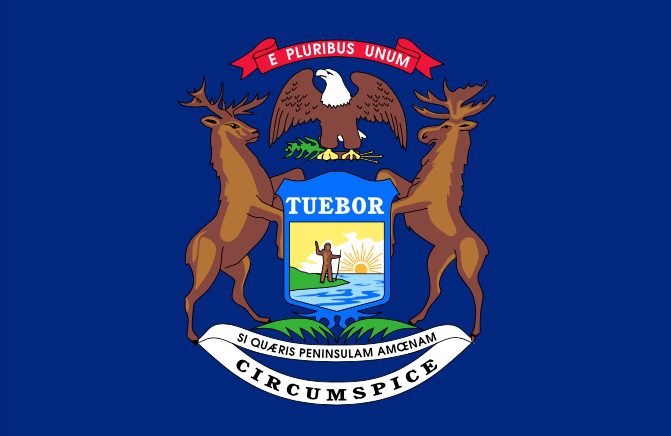 Michigan Pellet Gun Hunting Law: What You Need To Know